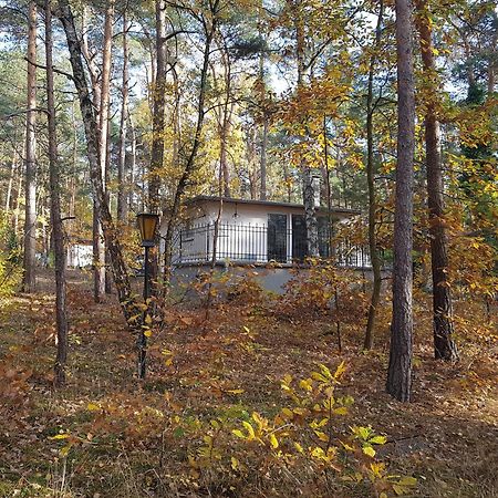 Hausmeise Heidesee Eksteriør bilde